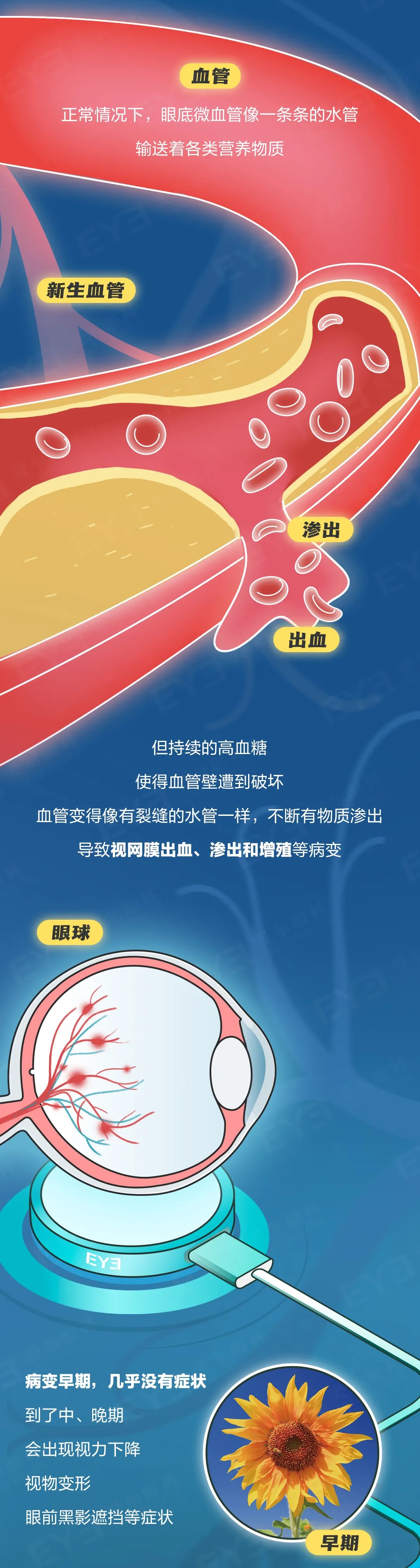 圖片.png 圖片.png