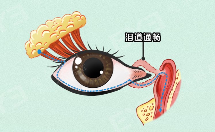 圖片.png 圖片.png