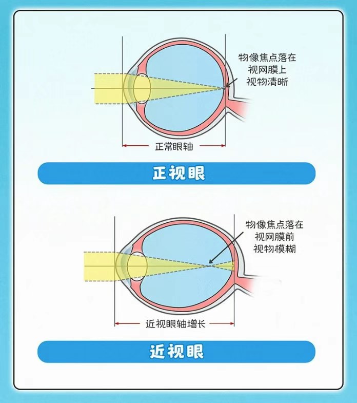 圖片.png 圖片.png