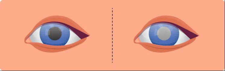 圖片.png 圖片.png