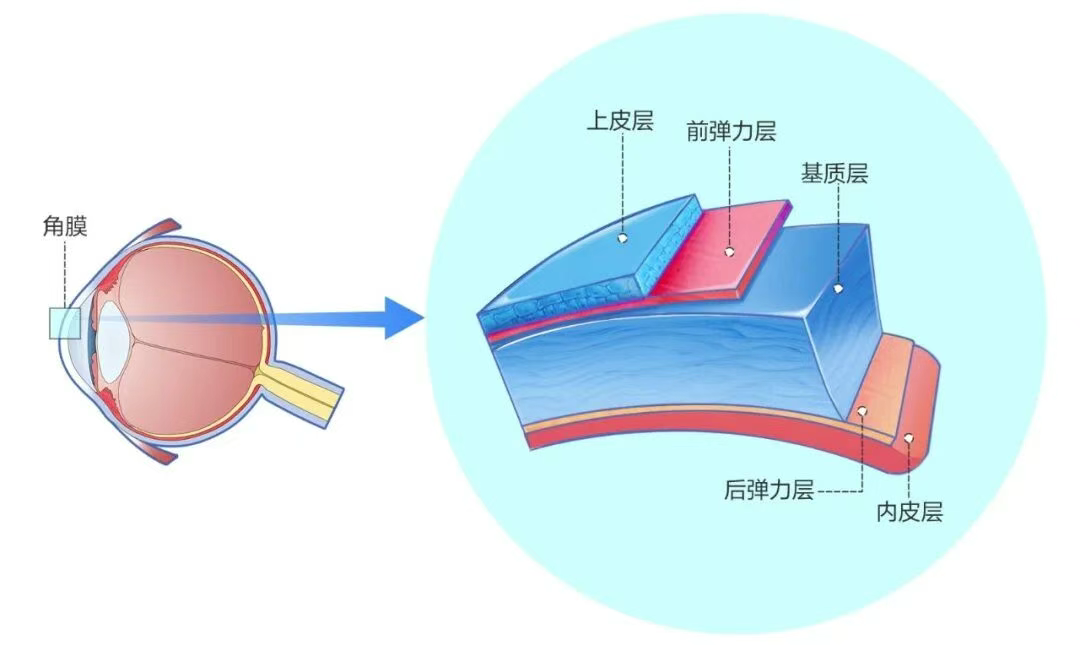 圖片.png 圖片.png